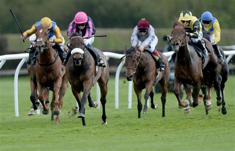 racecards today|today's horse racing results today.